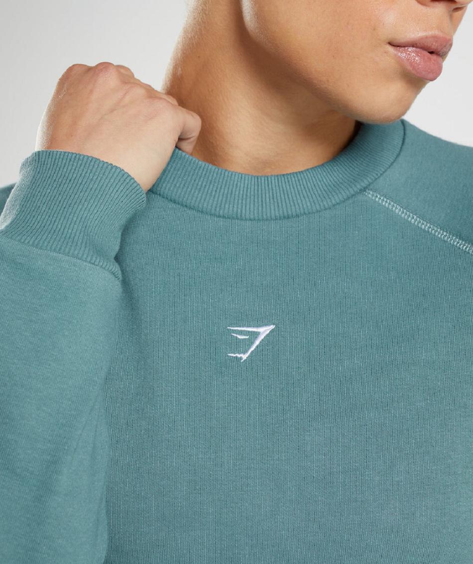 Gymshark Training Cropped Sweater Ženske Accessories Plave | HR 3774JPQ